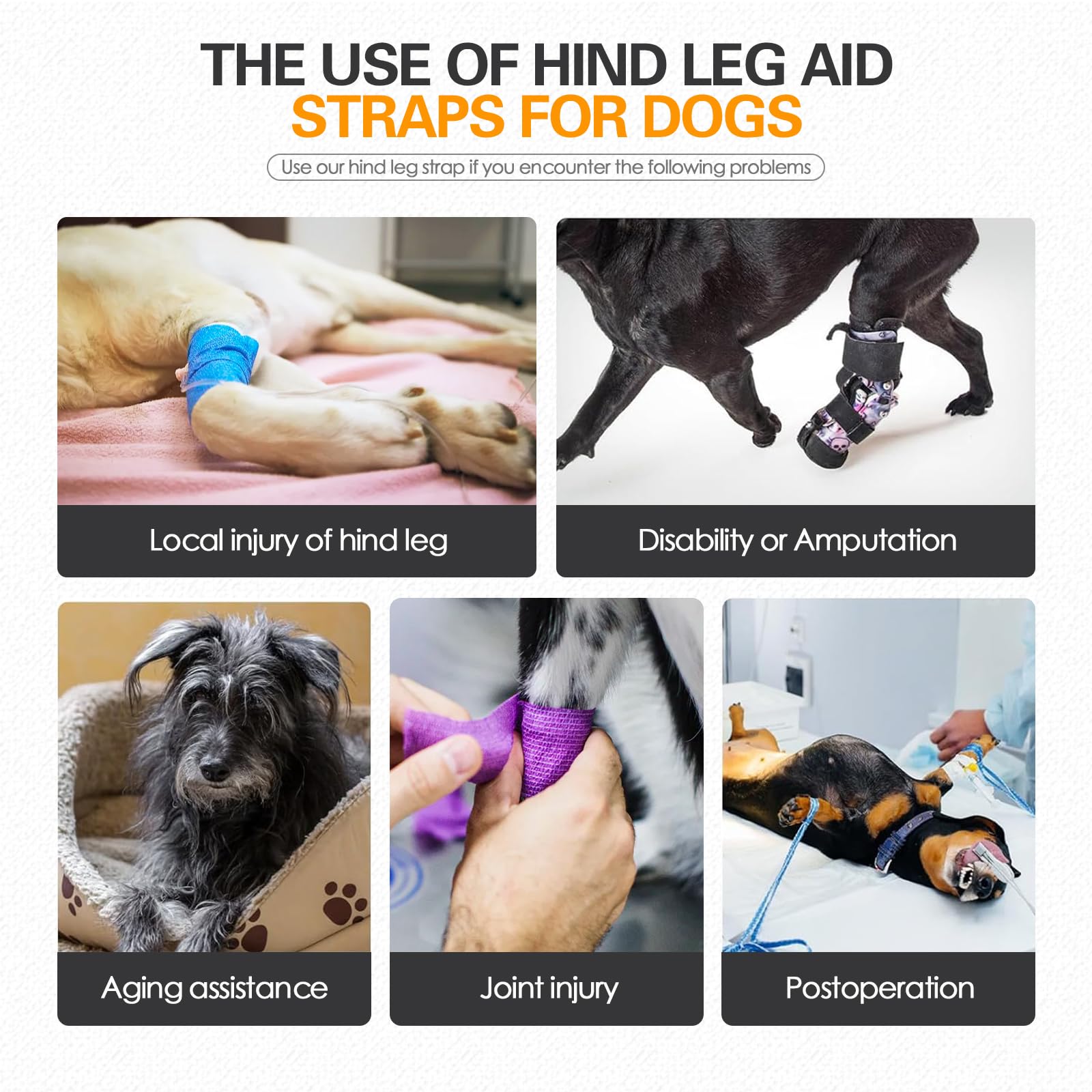 Qpets Dog Lift Harness for Aging or Injured Dogs with Quick Release Buckle and Adjustable Straps 15–32.5kg