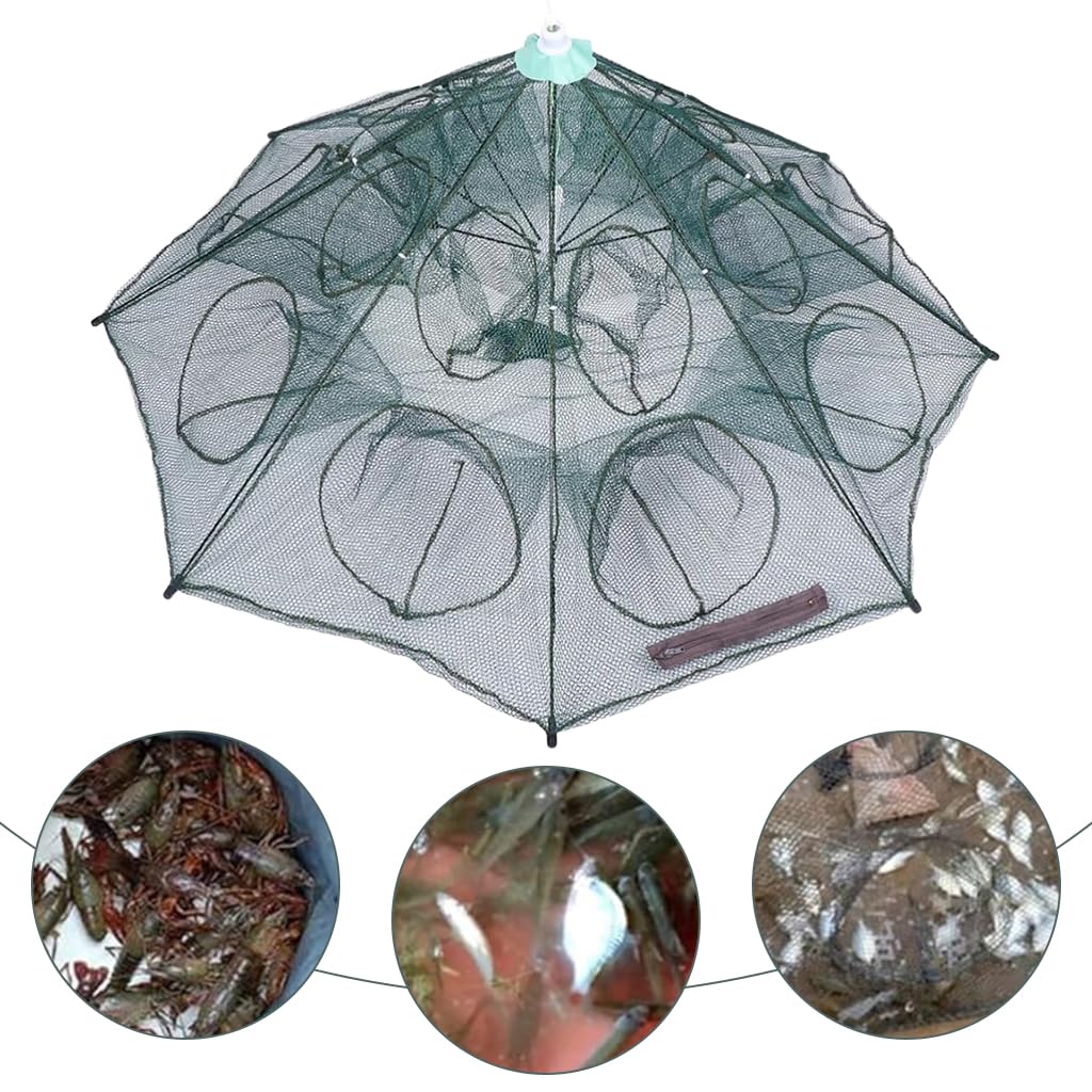 Proberos Fishing Net for Lobster and Crab Catching with 24 Holes and Reinforced Ribs | Foldable Nylon Trap Cage 2 PCS