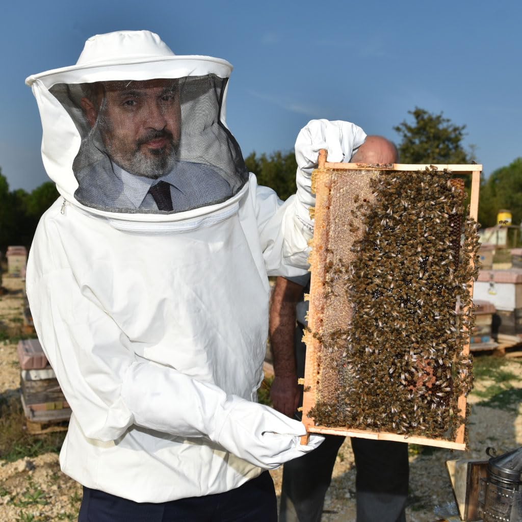 HASTHIP Beekeeping Suit for Hive Protection with Detachable Veil Hat and Elastic Cuffs