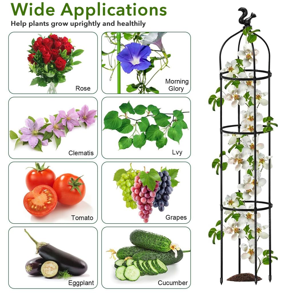HASTHIP Trellis for Climbing Plants 120cm Adjustable Round Support Sticks with Plastic Frame | Ideal for Clematis Roses Tomatoes and Ivy