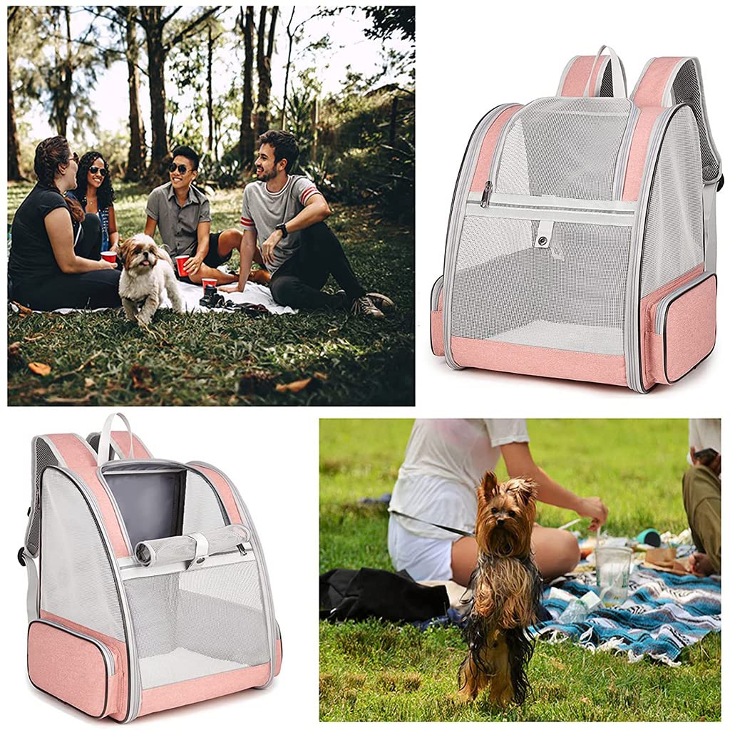 Qpets Breathable Design Cat Bag Carrier Backpack for Hot Weather, Expandable Cat Dogs Cage, Cat Bag, Backpack Design Pet Travel Carrier Pet Case for Small Pets (Pink)