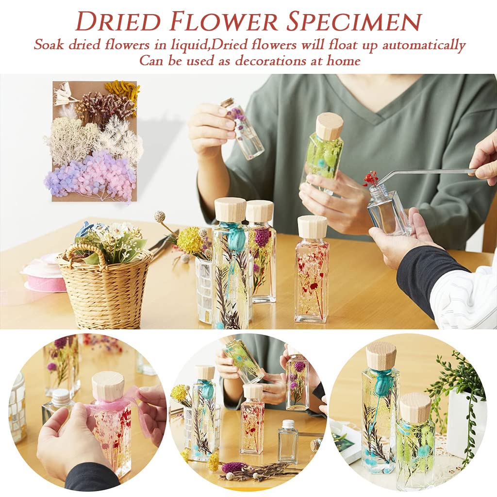 HASTHIP Natural Dried Flower Set for Resin Art and Room Decor featuring Air Dried Process