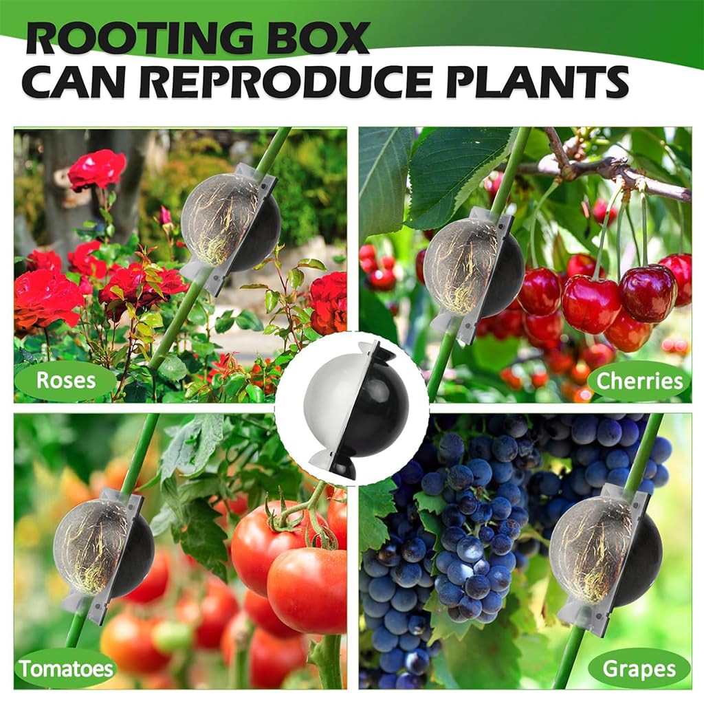 HASTHIP Plant Rooting Ball for Easy Indoor and Outdoor Propagation 12PCS | Reusable Plastic Grow Box