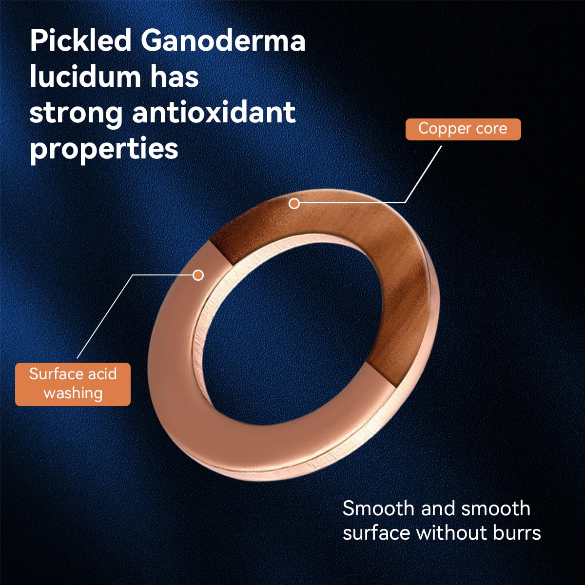 Serplex Fitting Rings Set for Plumbing and Mechanical Repairs with 280 pcs 12 Sizes Copper Washers | Leak-Proof Sealing and Organized Storage Box
