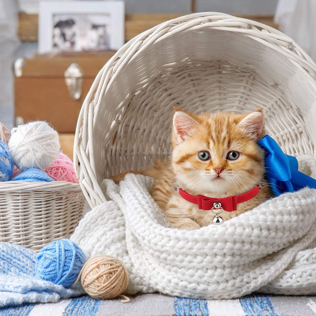 HASTHIP Cat Collar with Safety Breakaway Buckle featuring Screw Fixed Bell Velvet Strap 33.5 cm Red