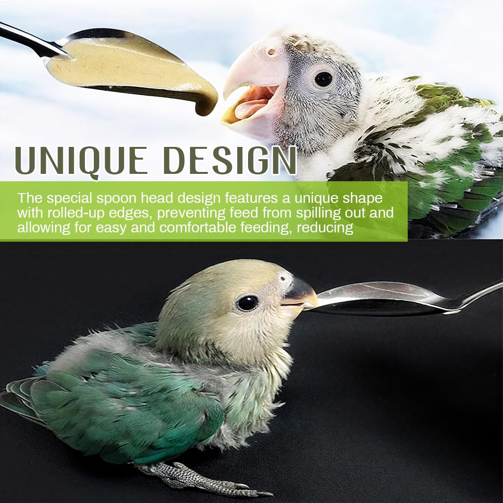 Qpets Hand Feeding Spoons for Baby Birds with 4.72 in Narrow Tip Stainless Steel Design | 2 Spoon Set