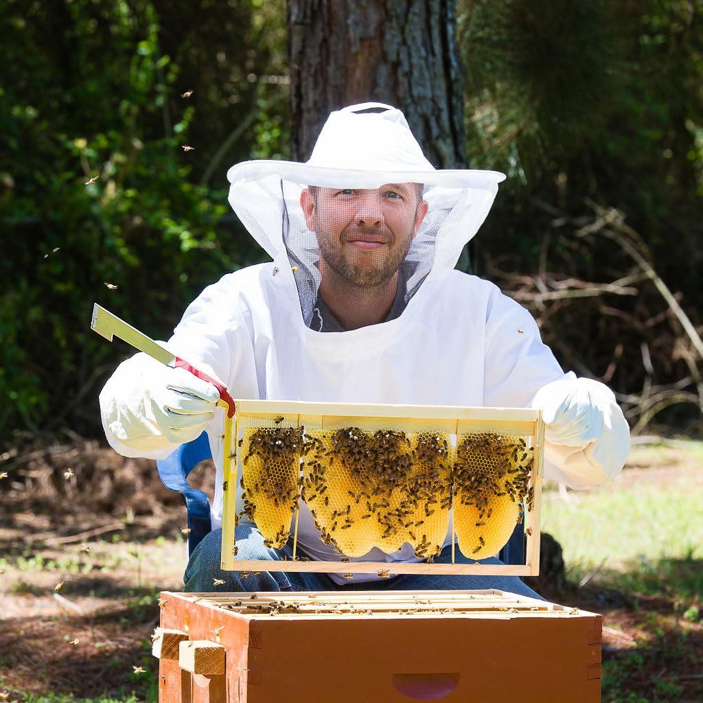 HASTHIP Beekeeping Suit for Hive Protection with Detachable Veil Hat and Elastic Cuffs