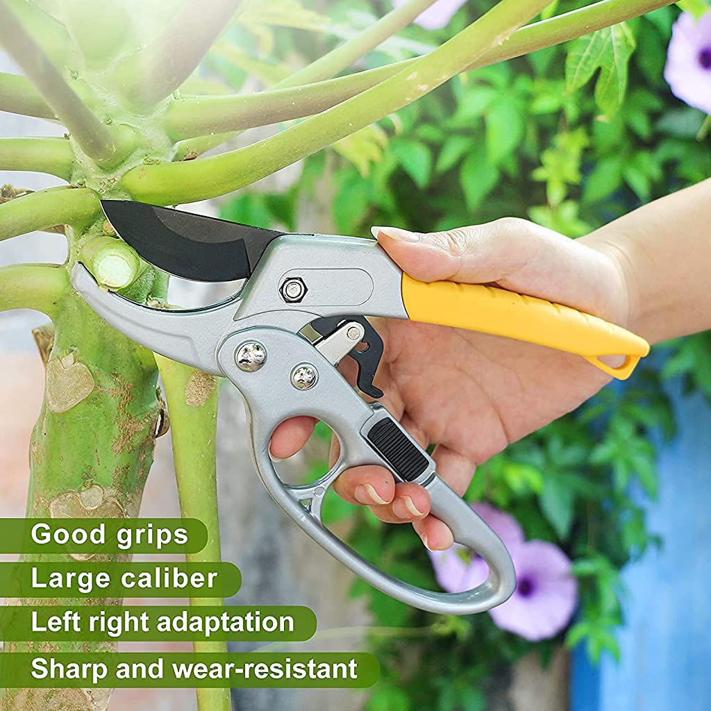 HASTHIP® Gardening Scissor Stainless Steel Garden Snip with Safety Lock Garden Shears Sharp Cutter Pruners Scissor for Lawn, Garden & Potted Plants (A)