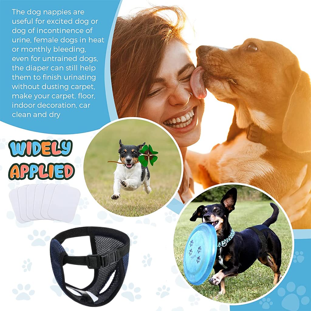 Qpets Dog Diapers Female for Puppy Use with 6 Absorption Cotton Pads and Breathable Mesh | 3PCS L 15.7–19.2 in Waist