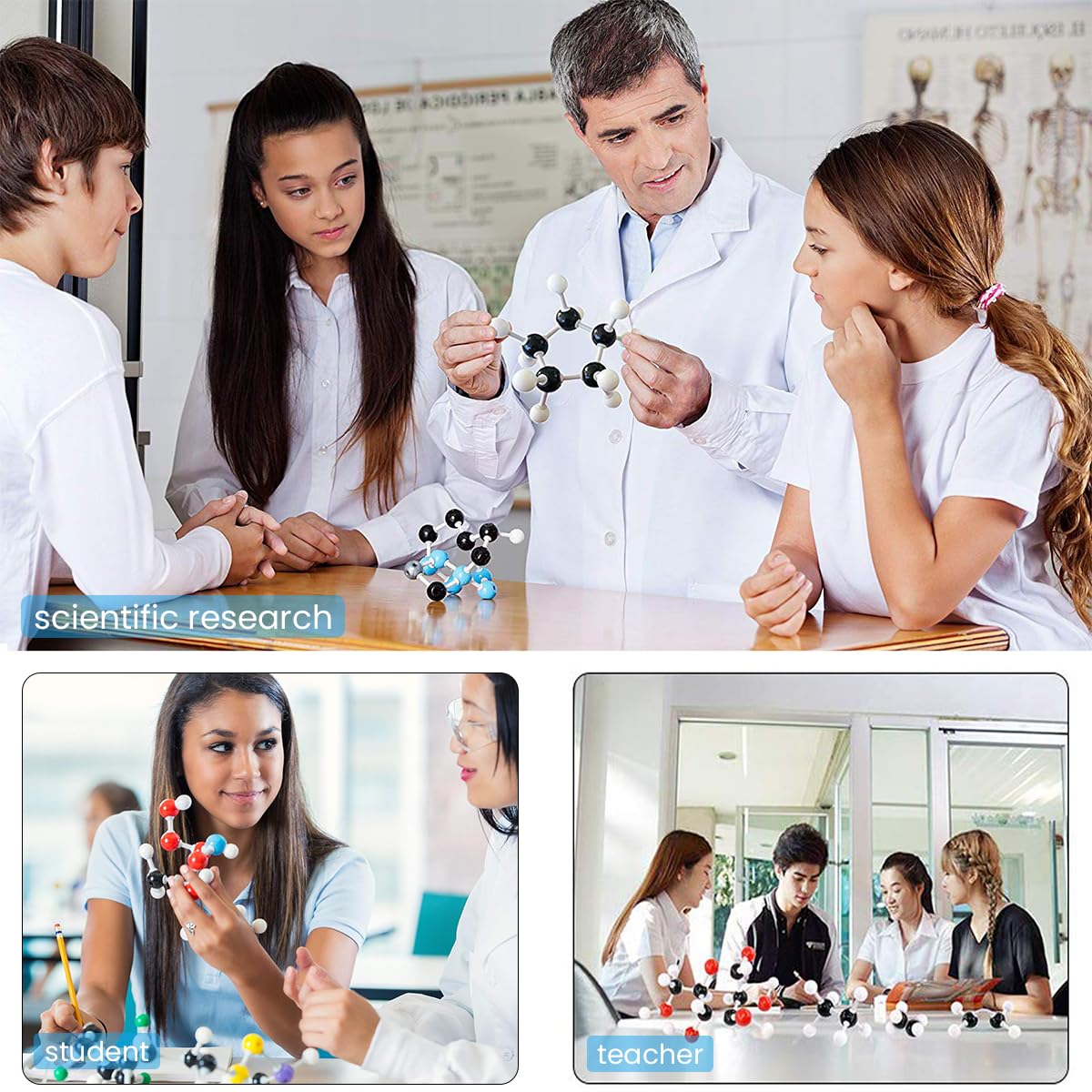 PATPAT Chemistry Molecular Model Kit for Teaching and Learning with 444 pcs Ball and Stick Models | Durable Plastic Set for Students and Teachers