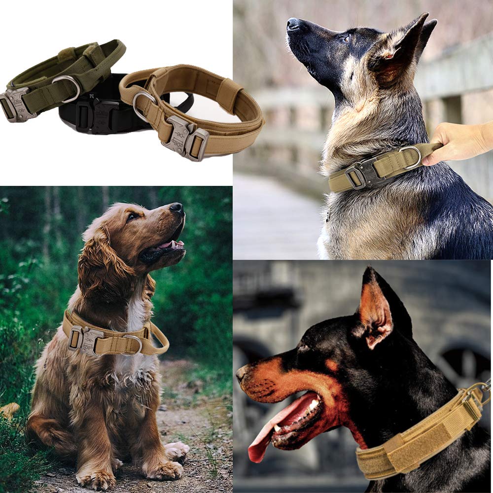 Qpets Dog Collar for Training with Quick Release Metal Buckle and Strap Handle | Adjustable Nylon 13.5–16.5 in