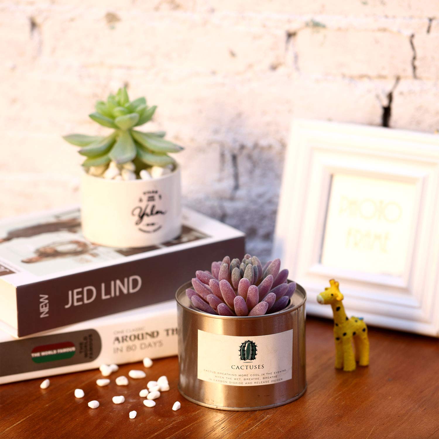 HASTHIP Artificial Plants for Home Decor with 8Pcs Textured PVC Succulents | Indoor DIY Arrangements