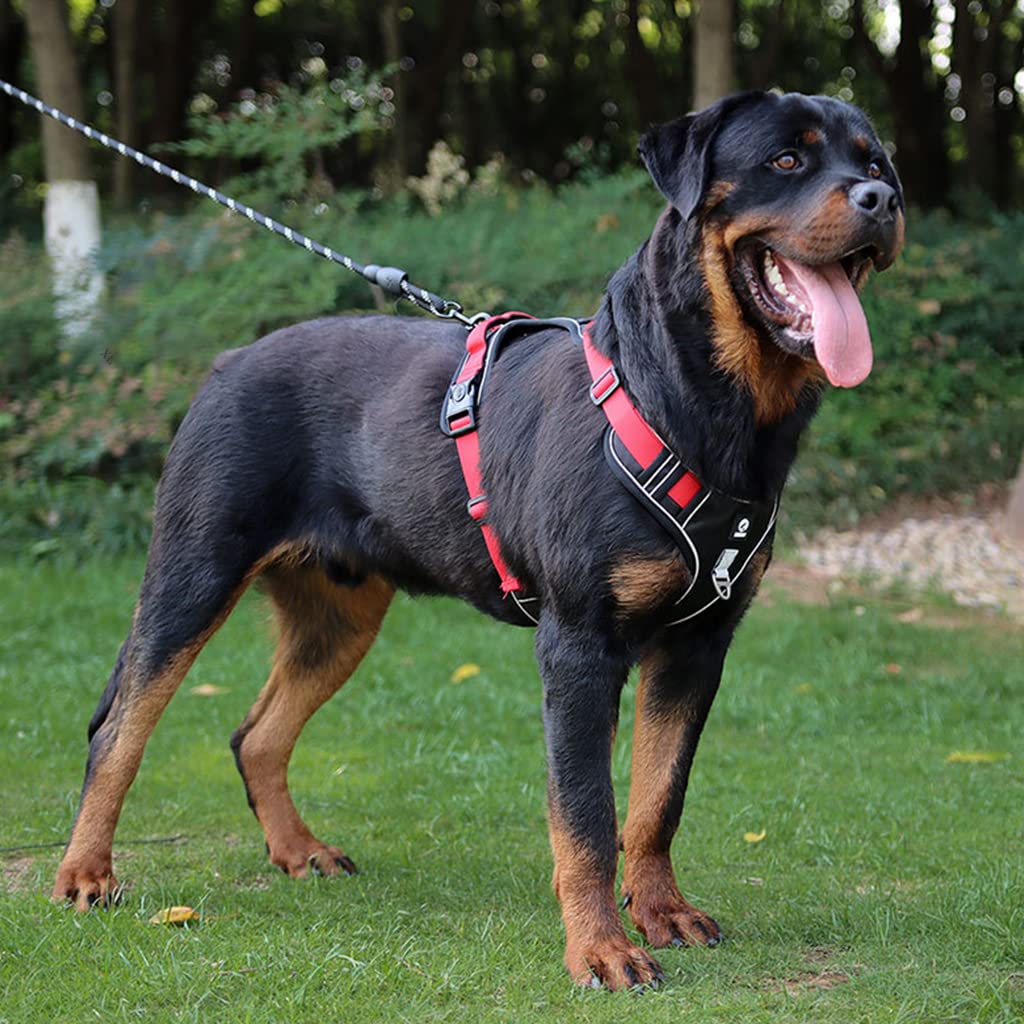 Qpets No Pull Dog Harness with Safety Reflective Strip Quick Release Buckle Adjustable Size Easy Control Handle for Small Medium Large Dog(Red,L, Recommended Weight: 14-22.5kg)