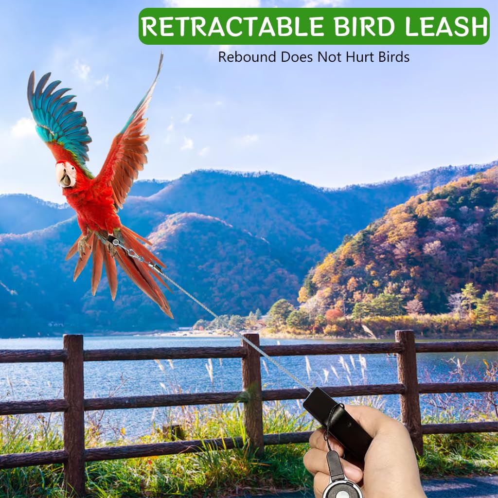 Qpets Parrot Leg Ring for Outdoor Exploration with 6.6 ft Retractable Wire | Fits Multiple Birds