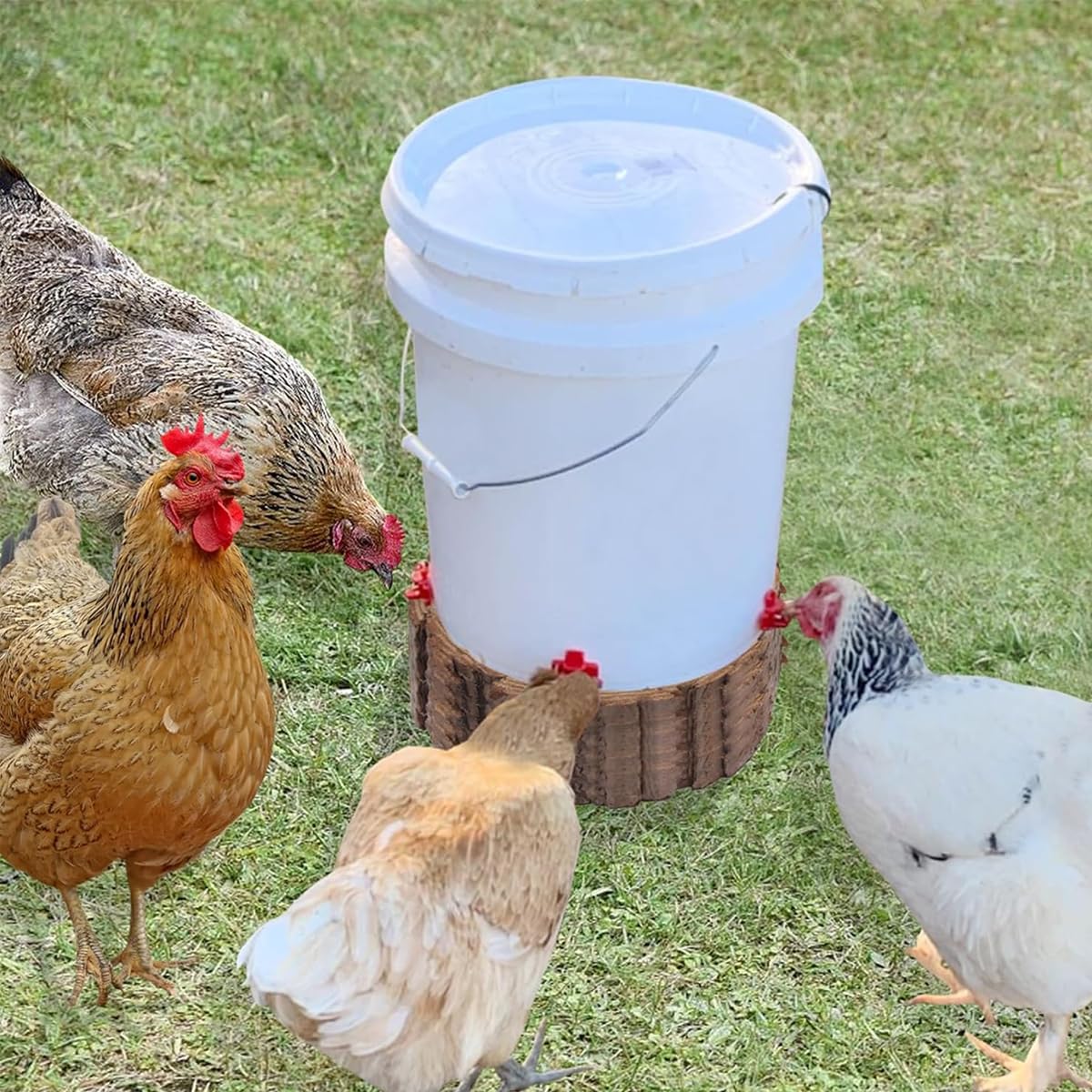 ORTIZA Chicken Water Feeder Kit 12Pcs for Poultry with Nipple Waterer System | Easy Clean Drinker