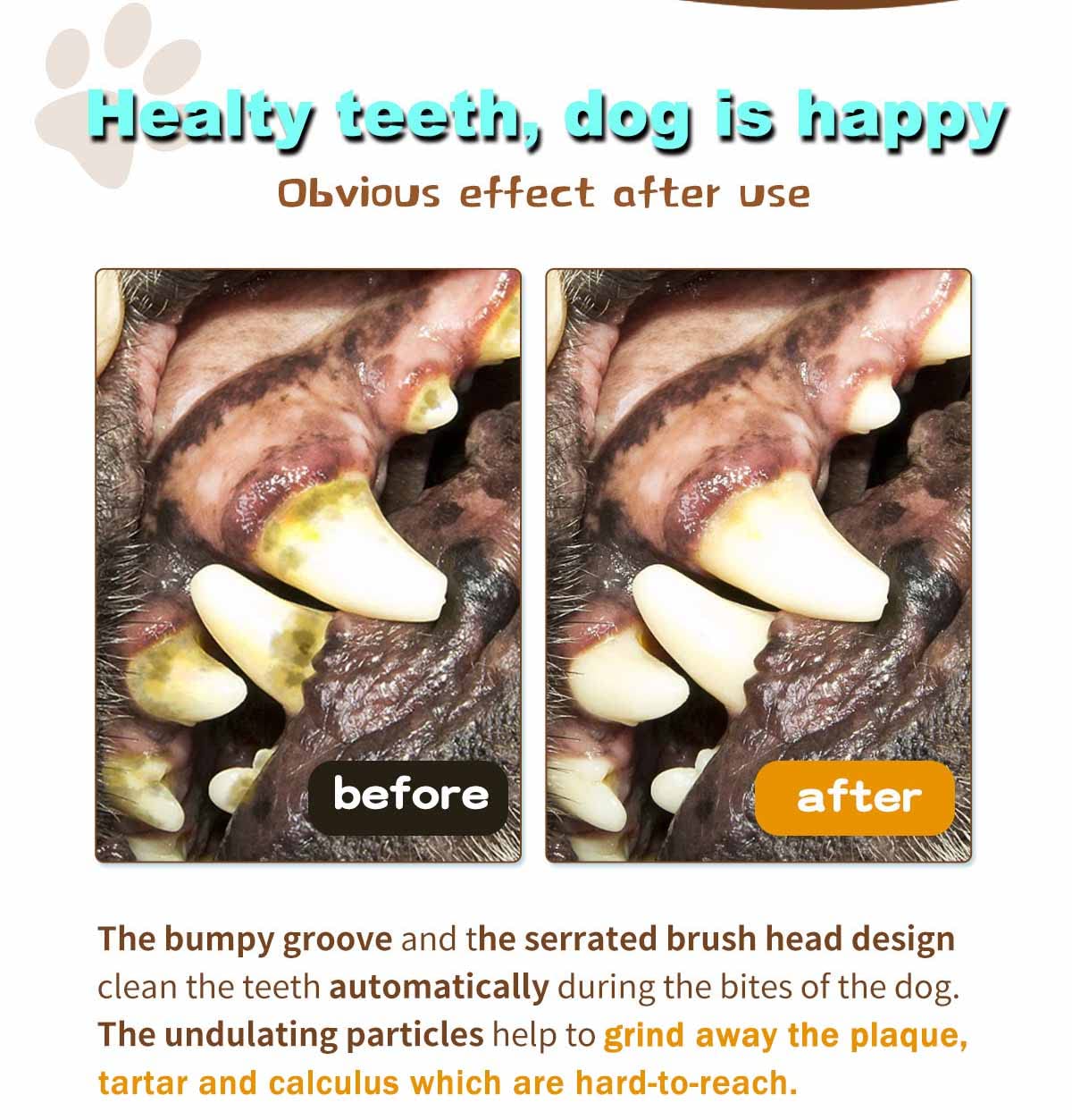 HASTHIP Dog Chew Toy for Dental Cleaning with 12 cm Molar Design & Safe TPR Material | Stress Relief for Puppies