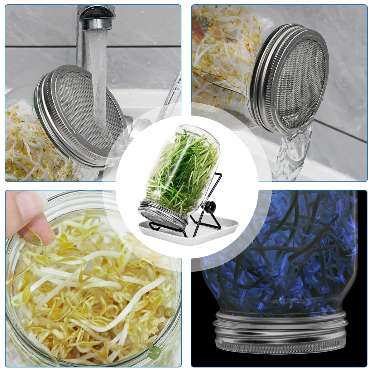 HASTHIP Seed Sprouting Jar for Kitchen Growing with 32oz Glass Jar & Stainless Steel Mesh Lid | Includes Shading Sleeve and Stand