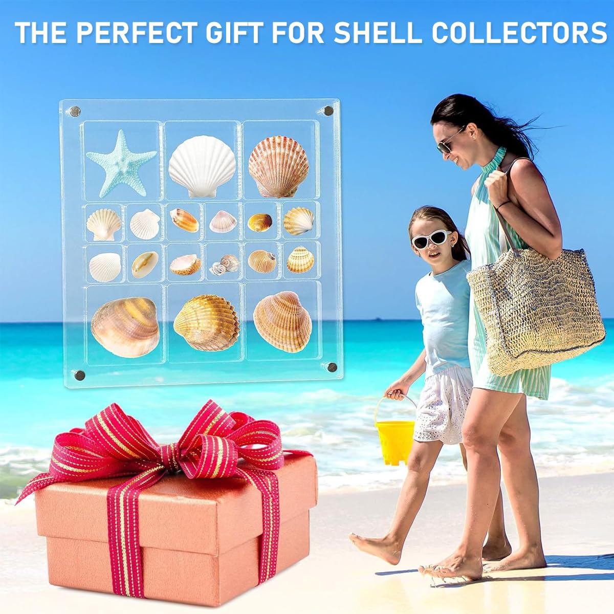 HASTHIP Acrylic Seashell Display Box for Shell Collection featuring 18 Grids 5.6x5.6in | Magnetic Closure Transparent Organizer