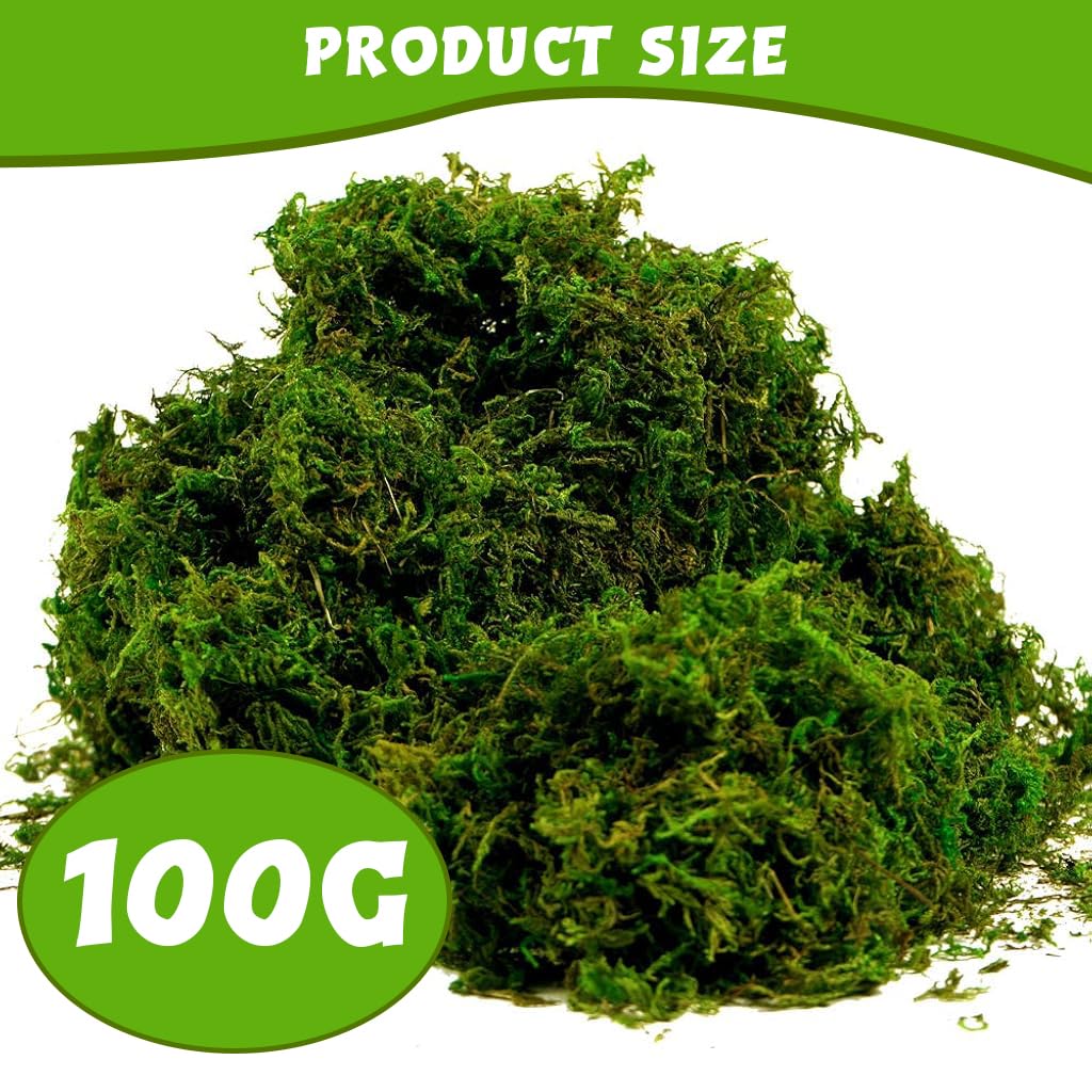 HASTHIP® Artificial Moss, Fake Moss for Crafts, Decorative Moss for Table Centerpieces Fairy Garden Wedding Party Decor, Faux Moss for Potted Plants