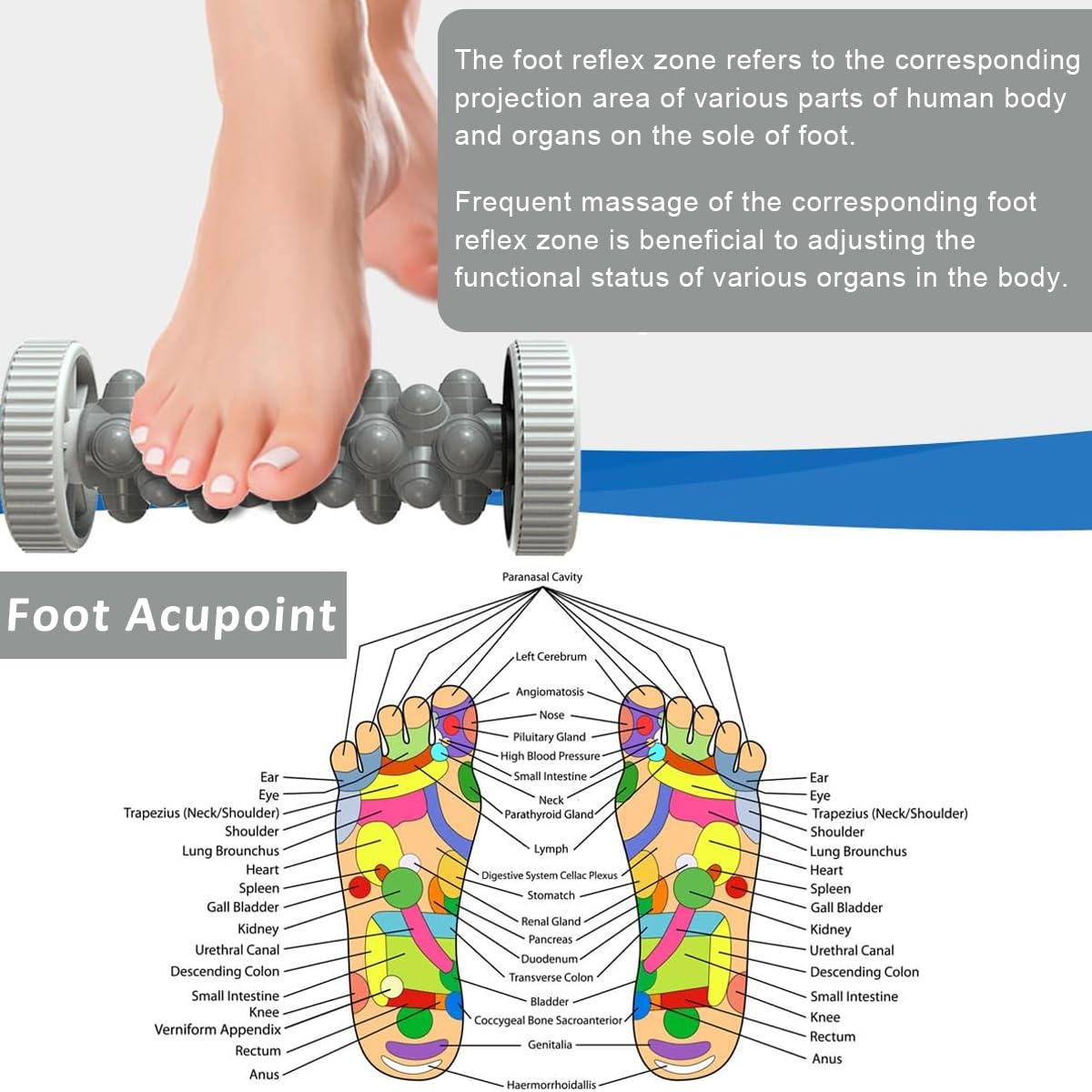 HANNEA Foot Massage Roller for Pain Relief featuring Side Wheels and Hard Massage Nubs 18x8 cm