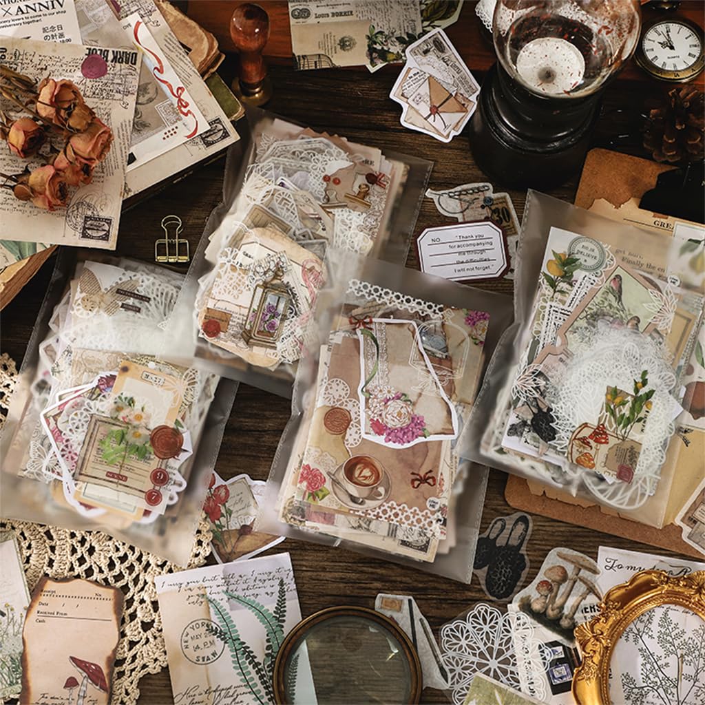 HASTHIP Journaling Supplies Kit for Scrapbook and Planner with 260 pcs Vintage Papers & Stickers