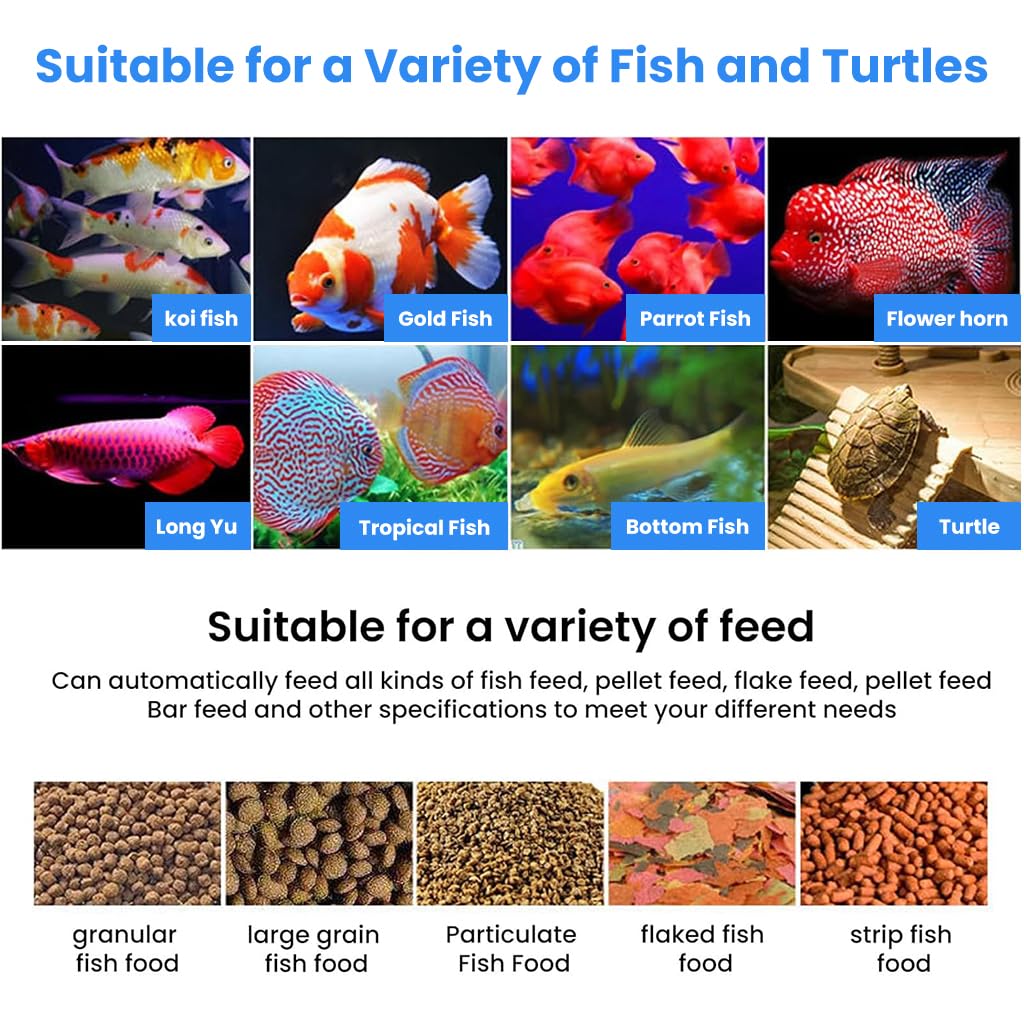 ZIBUYU Automatic Fish Feeder for Aquarium with 50g Capacity | Timed Portion Control Feeding