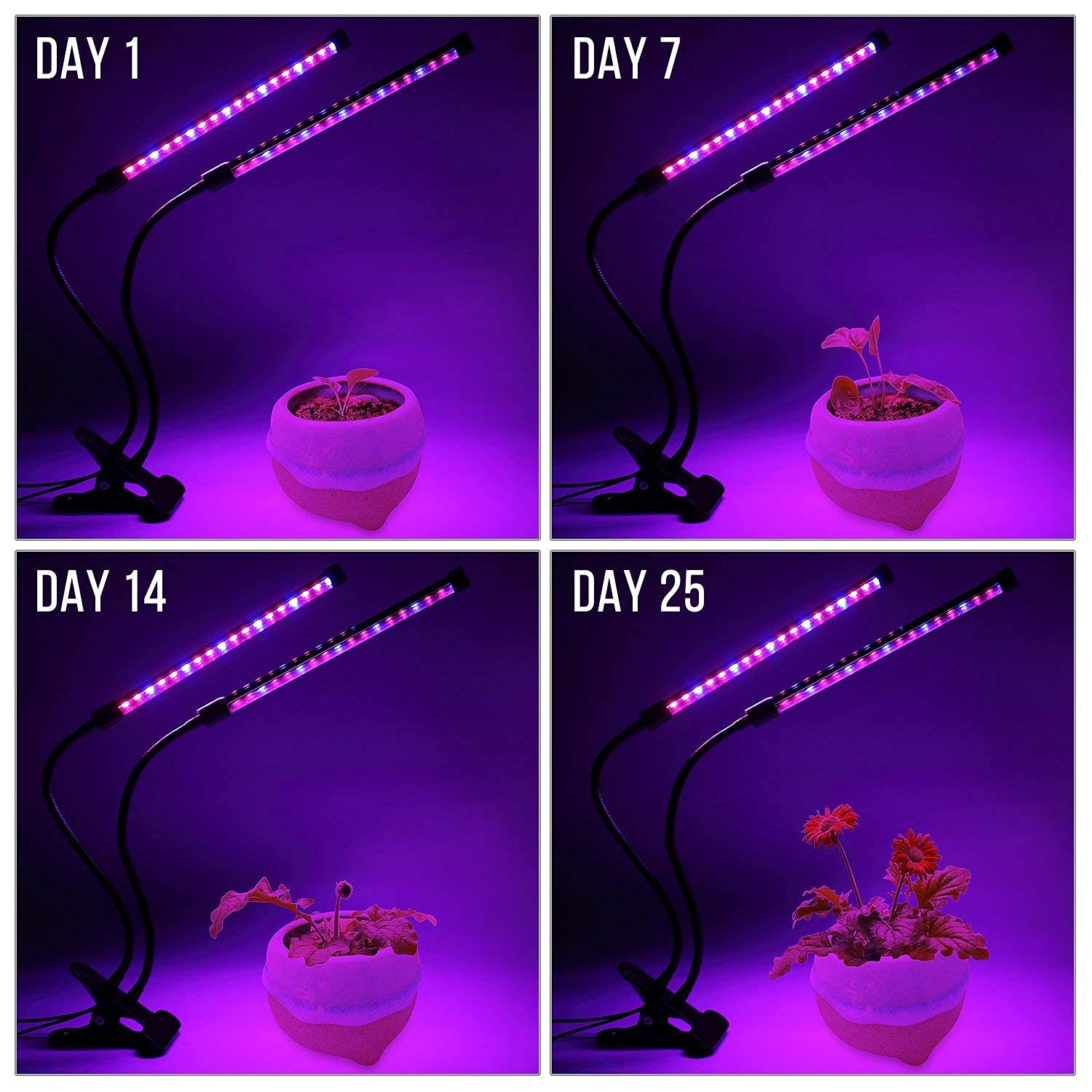 HASTHIP Led Grow Light for Indoor Plants with 40W Two Head 360° Adjustable Gooseneck | USB Rechargeable Timing Control