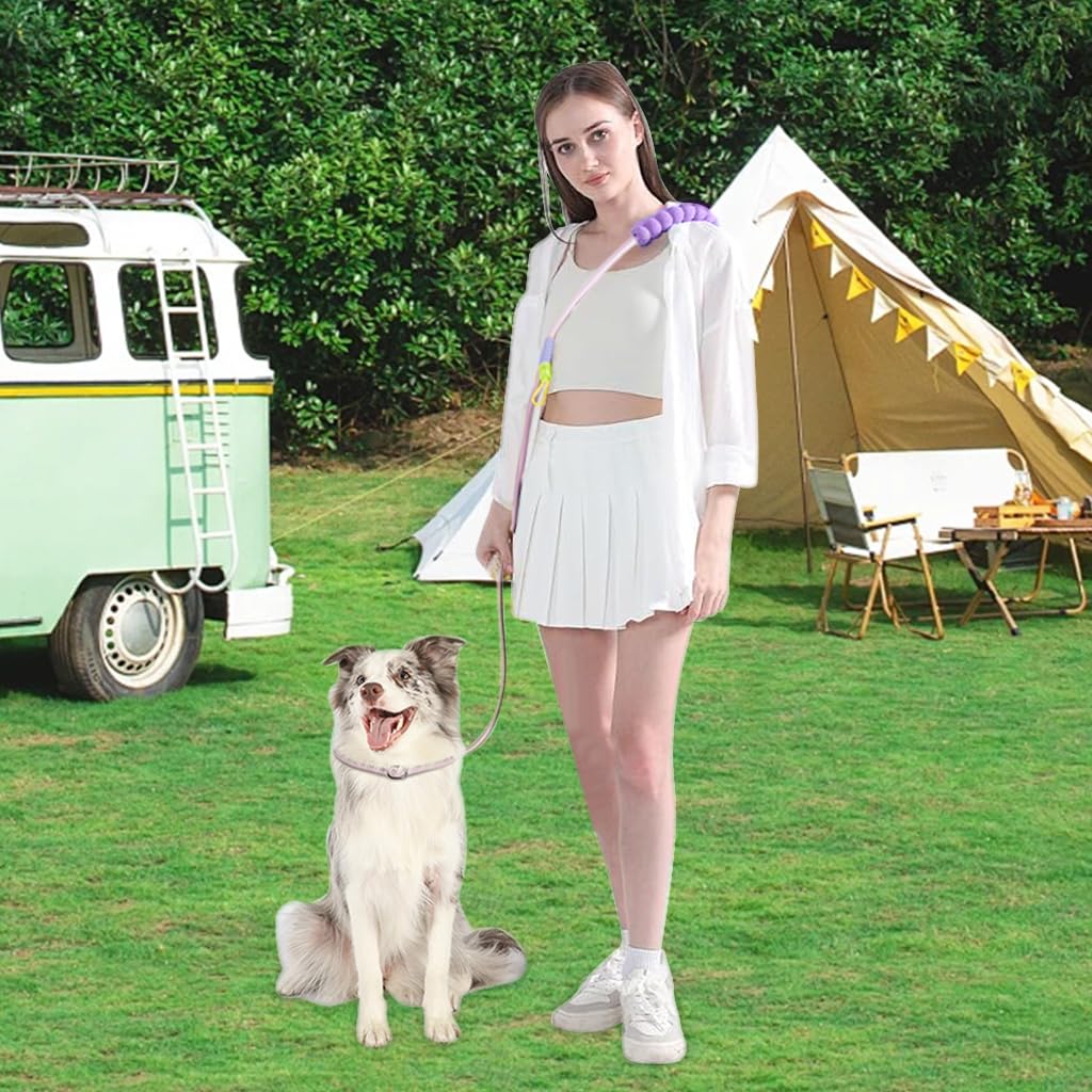 Qpets Dog Leash for Training and Walking with 360° Swivel Buckle and Soft Padded Grip | 6ft Nylon Pink