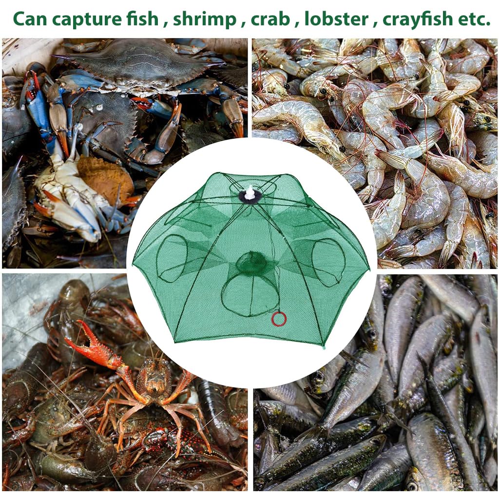 Proberos Foldable Fishing Net Trap for Crab and Shrimp with 6 Sides 6 Holes 95cm Diameter | Automatic Folding Nylon Mesh Cage