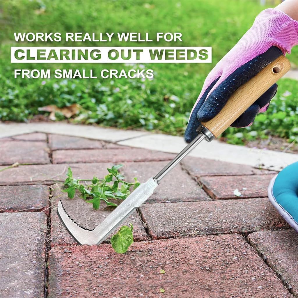 HASTHIP Crack Weeder Tool for Lawn and Yard featuring 30cm Serrated Blade and Wooden Handle