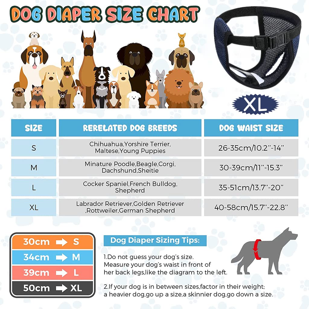 Qpets Female Dog Diapers for Puppy Training with 3 Absorption Pads and Elastic Waist | Washable Breathable Mesh Fabric (XL 16–21 in Waist)