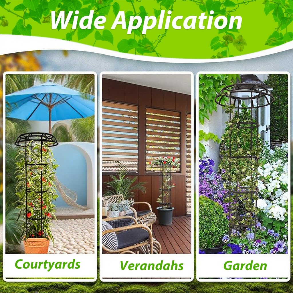HASTHIP Garden Plant Support Cages for Climbing Plants featuring 160cm Metal Obelisk Design