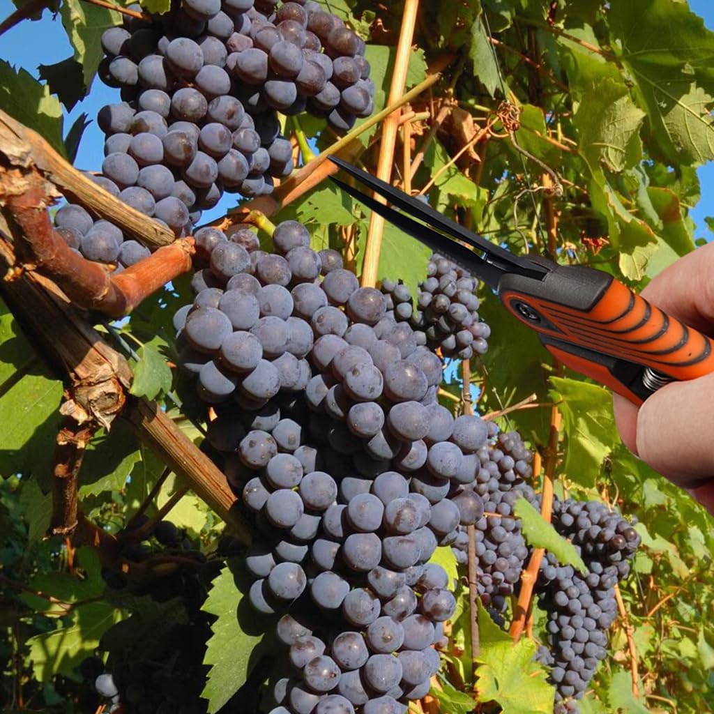 HASTHIP Gardening Scissor for Flower Beds and Orchards with Spring Loaded Design | 16.7cm Stainless Steel Precision Pruner