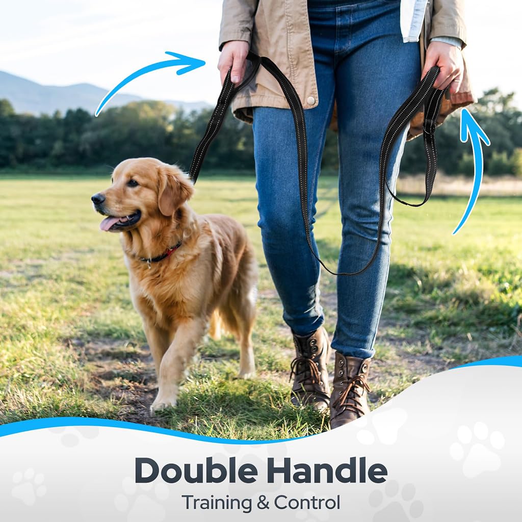 ZIBUYU Light Reflecting Dog Leash for Training and Walking with Dual Padded Handles 6 ft Black