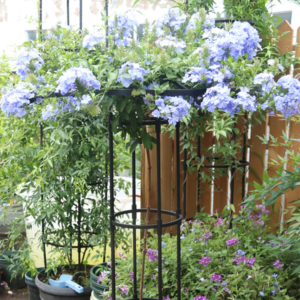 HASTHIP Metal Garden Trellis for Climbing Plants with Hollow Roof Design 95cm Height | Rust Proof Indoors and Outdoors