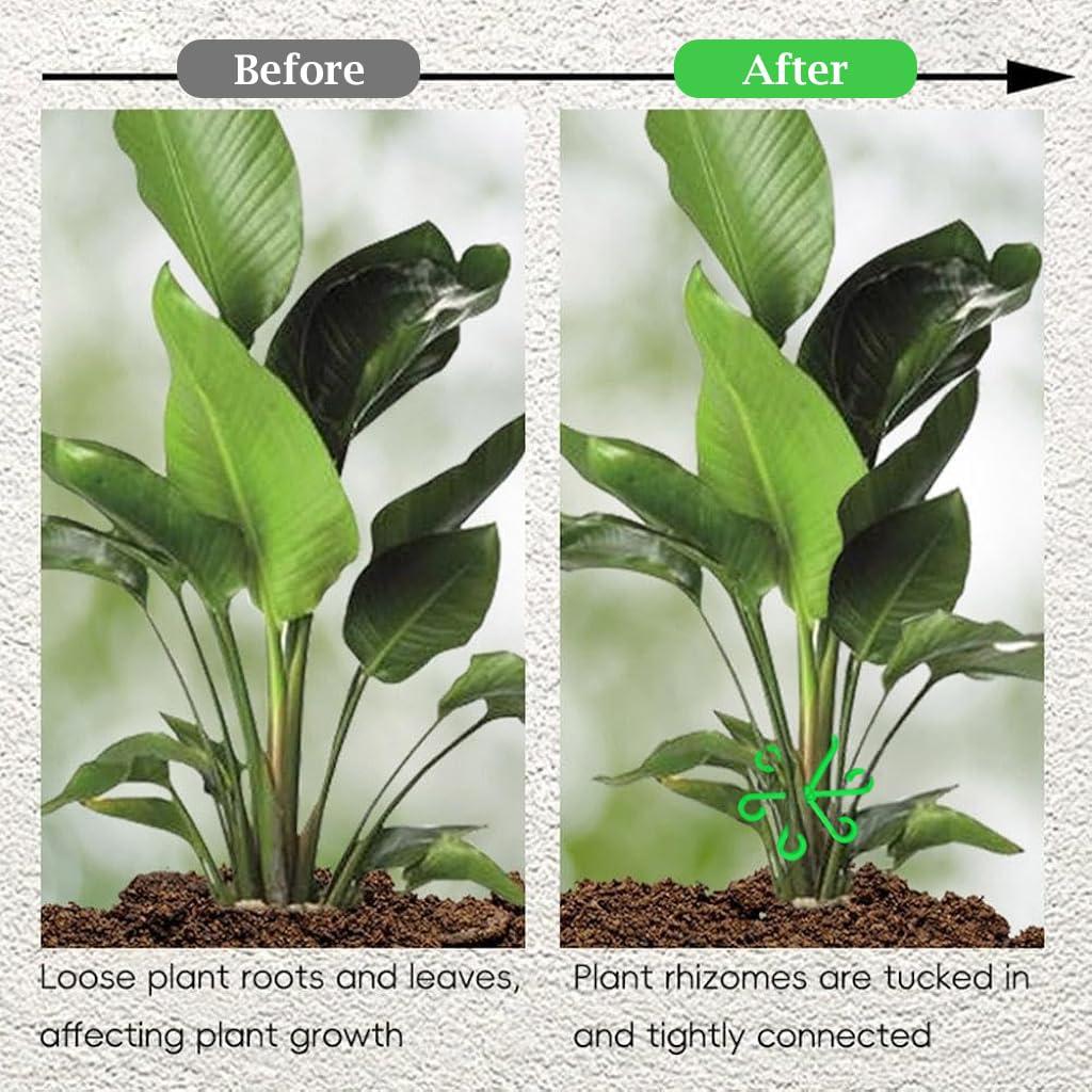 HASTHIP Plant Stem Supports for Climbing Plants featuring 6-Claw Design | 4 Pack Plastic