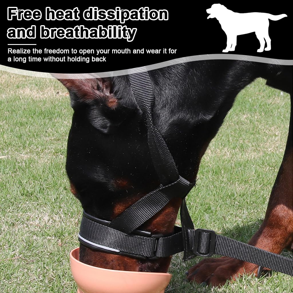 Qpets Dog Head Collar for Training Control with D-Ring and Quick Release Buckle | Adjustable Fit 30–60 cm with Soft Leather Liner for Small to Medium Dogs