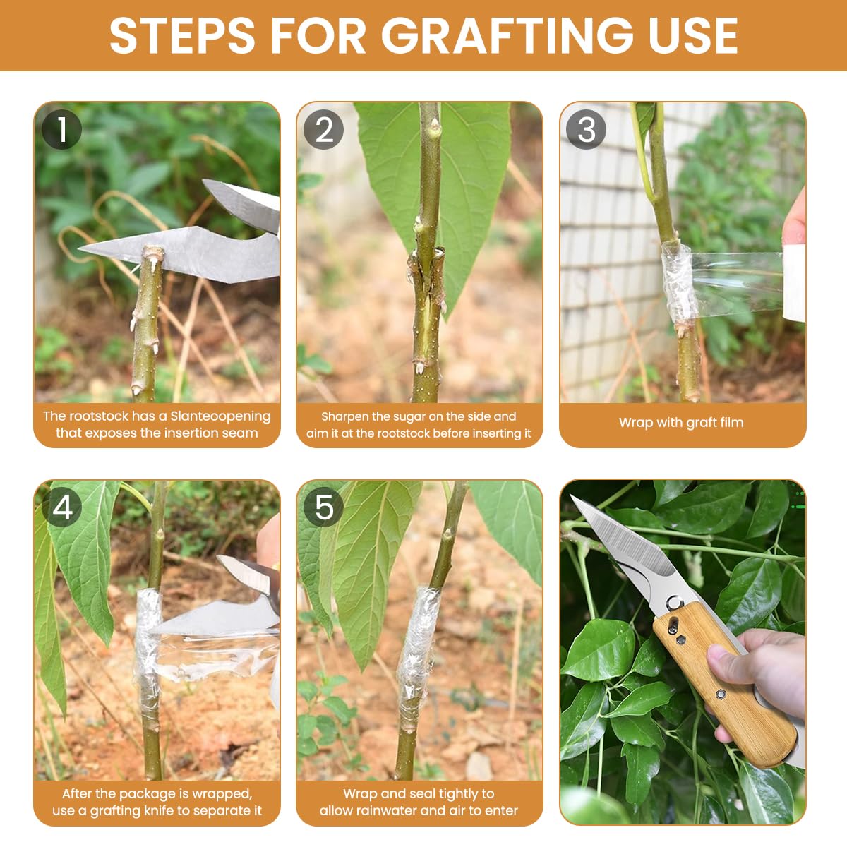 HASTHIP Grafting Cutter Tool 3 in 1 for Gardening featuring Wooden Handle and Steel Cleft