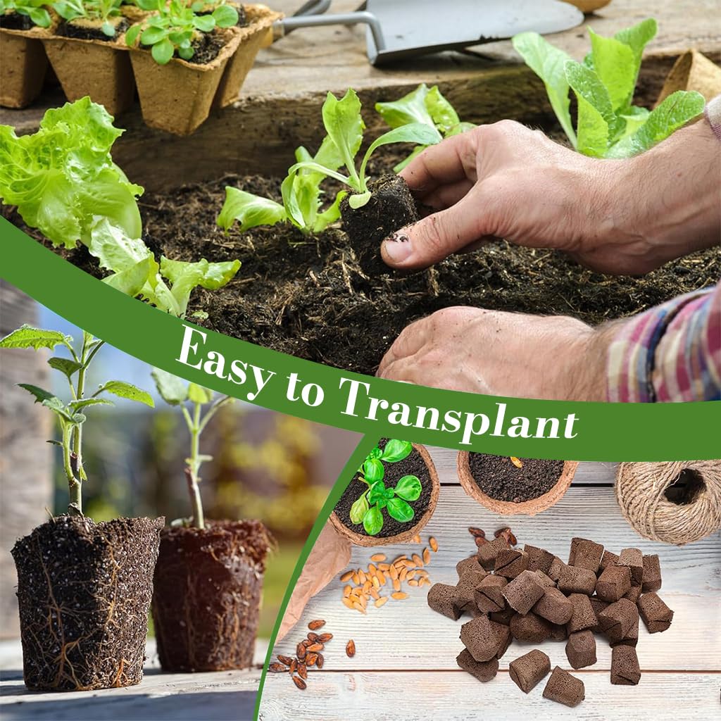 HASTHIP Seedling Sponge Blocks 50 pcs for Hydroponic Gardening featuring Porous Structure & Strong Root Aeration