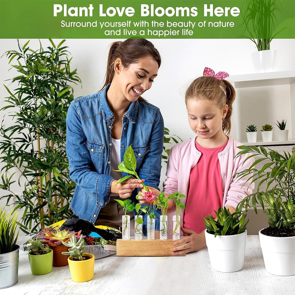HASTHIP Glass Hydroponic Planters for Indoor Decor with Wooden Stand & 6 Tubes | Ideal Gift