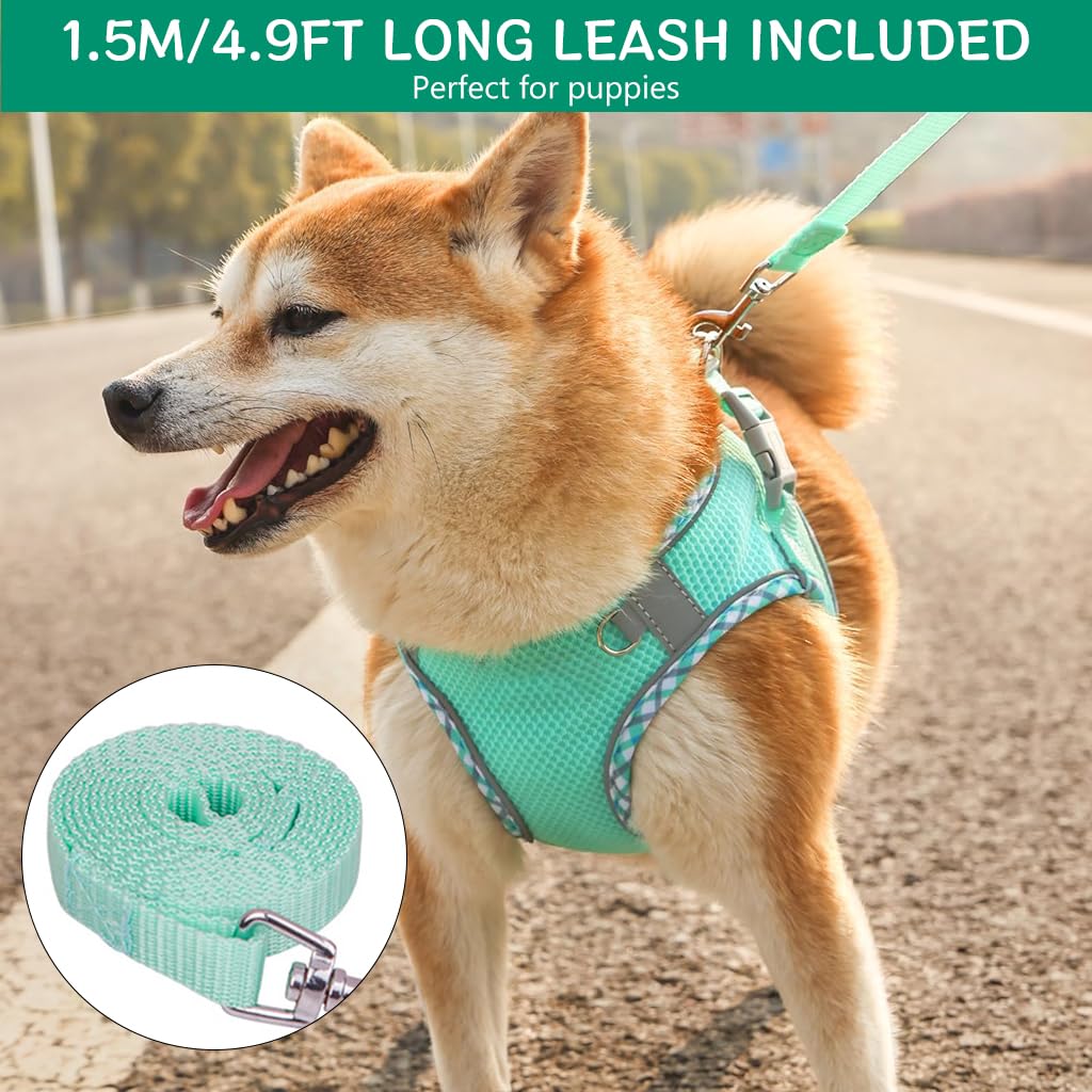 Qpets Small Dog Harness, 4.9Ft Dog Leash Breathable Mesh Pet Harness Small Dog Vest Harness with Safe Reflective Strips No Pull Small Dog Harness (Neck: 36-42CM)