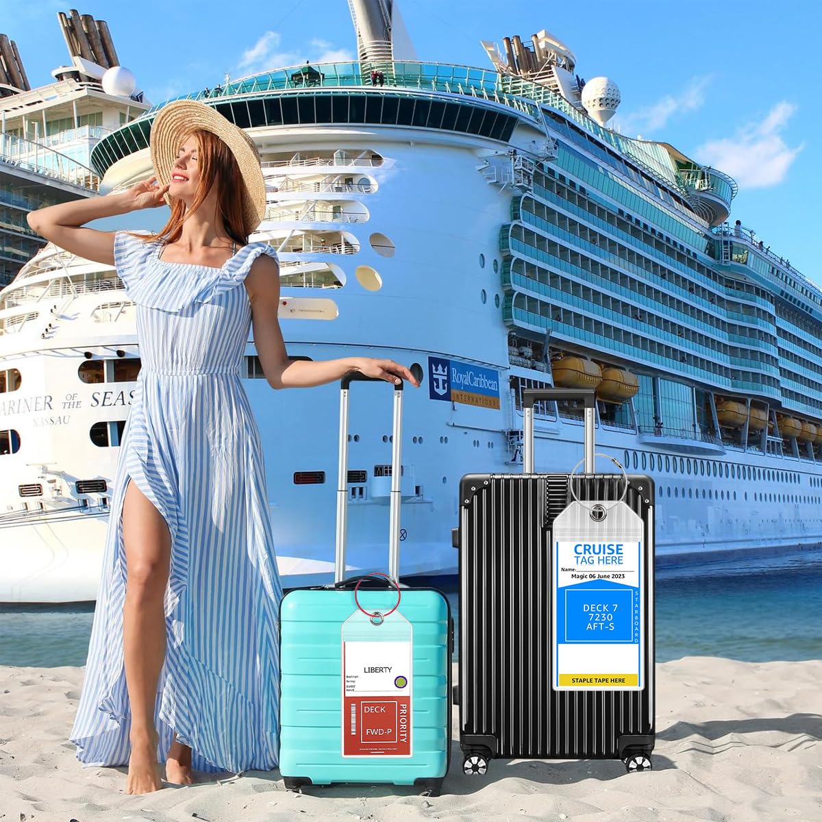 PALAY Luggage Tags for Travel featuring 19x9cm Size with Stainless Steel Loops | Clear 6 Pack