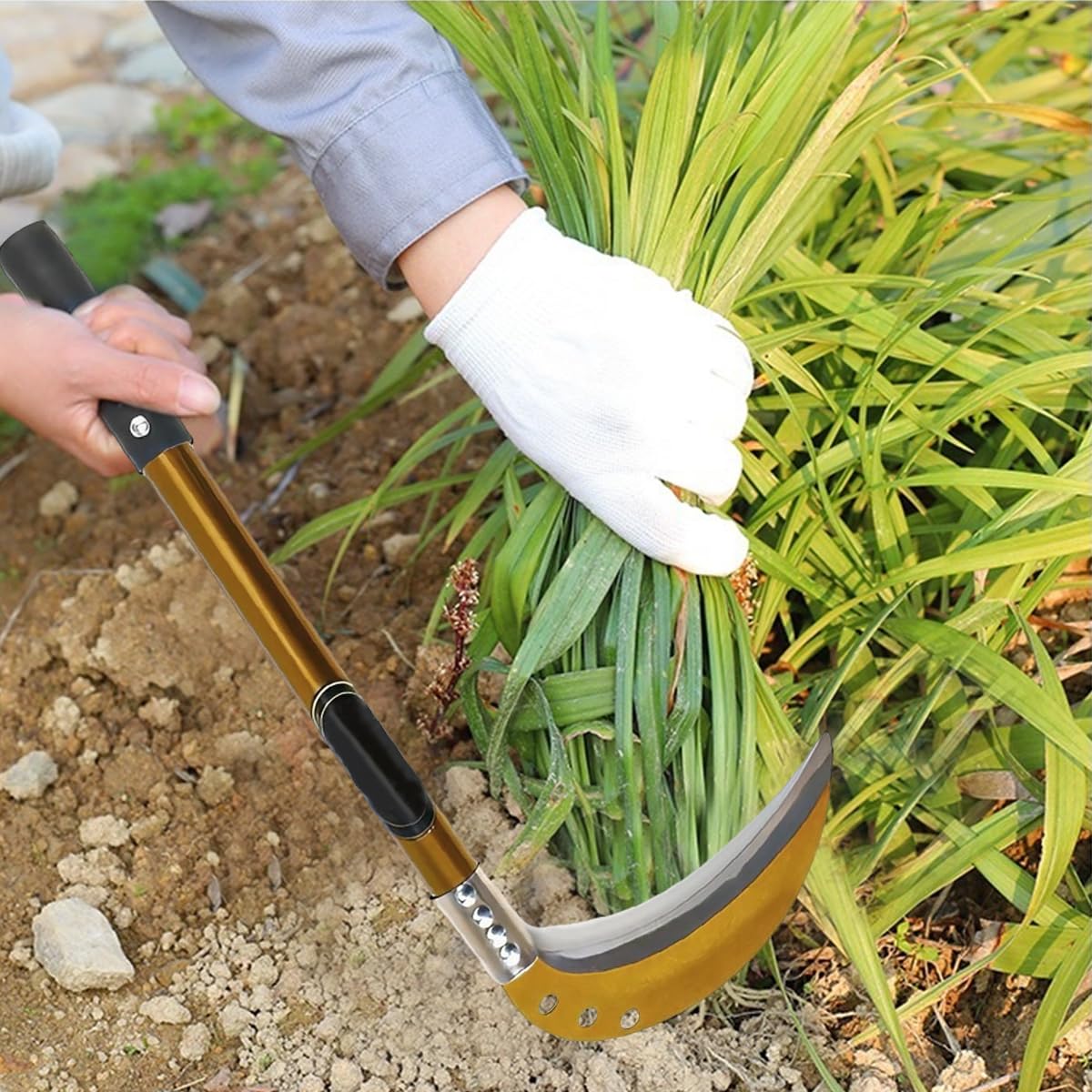 Sickle 18 Inch Heavy Duty Hand Weeder for Gardening with 7.48 in Carbon Steel Blade and Ergonomic Anti Slip Handle