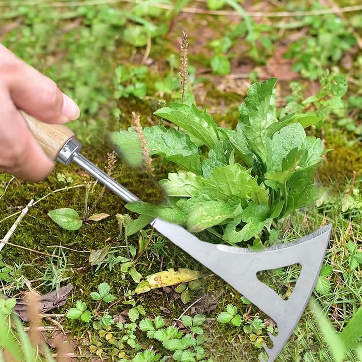 HASTHIP Hand Weeder for Garden Weed Removal with 33cm Serrated Blade and Wooden Handle | Steel Crevice Tool