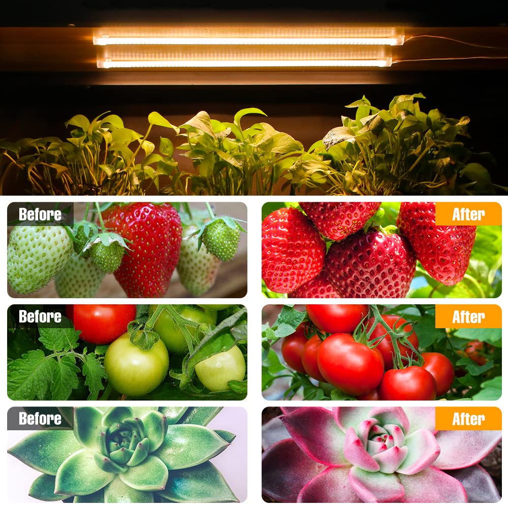 Qpets® LED Grow Lights Bars for Indoor Plants, Full Spectrum Strips Auto ON/Off, 8/12/16H Timer, 5 Dimmable Levels High Output USB 5V Grow Lamp Hydroponics Seedling Flower Starting(Sunlike)