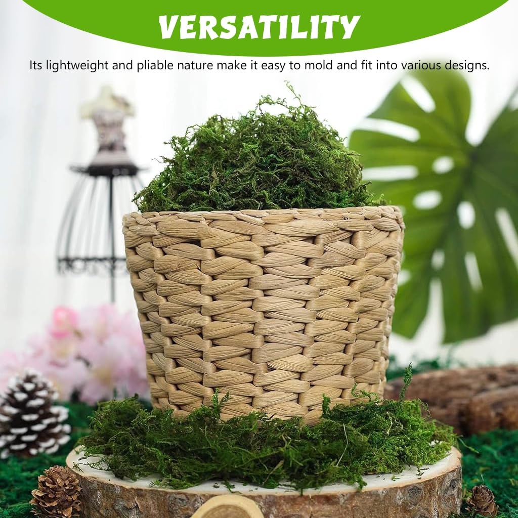 HASTHIP Artificial Moss for Crafts and Table Centerpieces featuring 100 g Cotton Green Decor | Low Maintenance Faux Moss for Potted Plants