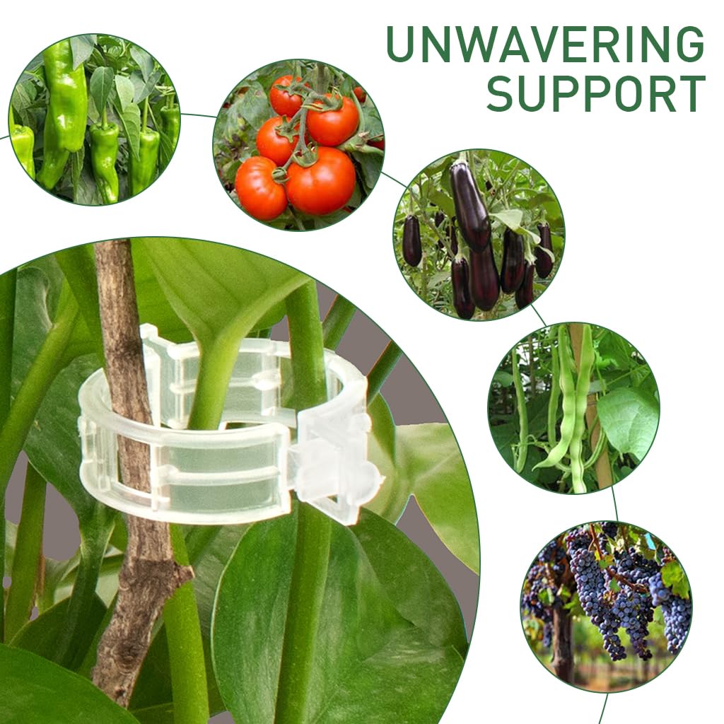 HASTHIP® 300Pcs Gardening Supportive Ring Clips - Creeper Plant Support - Plant Sticks Support for Vines Hook & Vines Climbing Clip - Plants Support Clips for Flowers, Vegetables, Plants