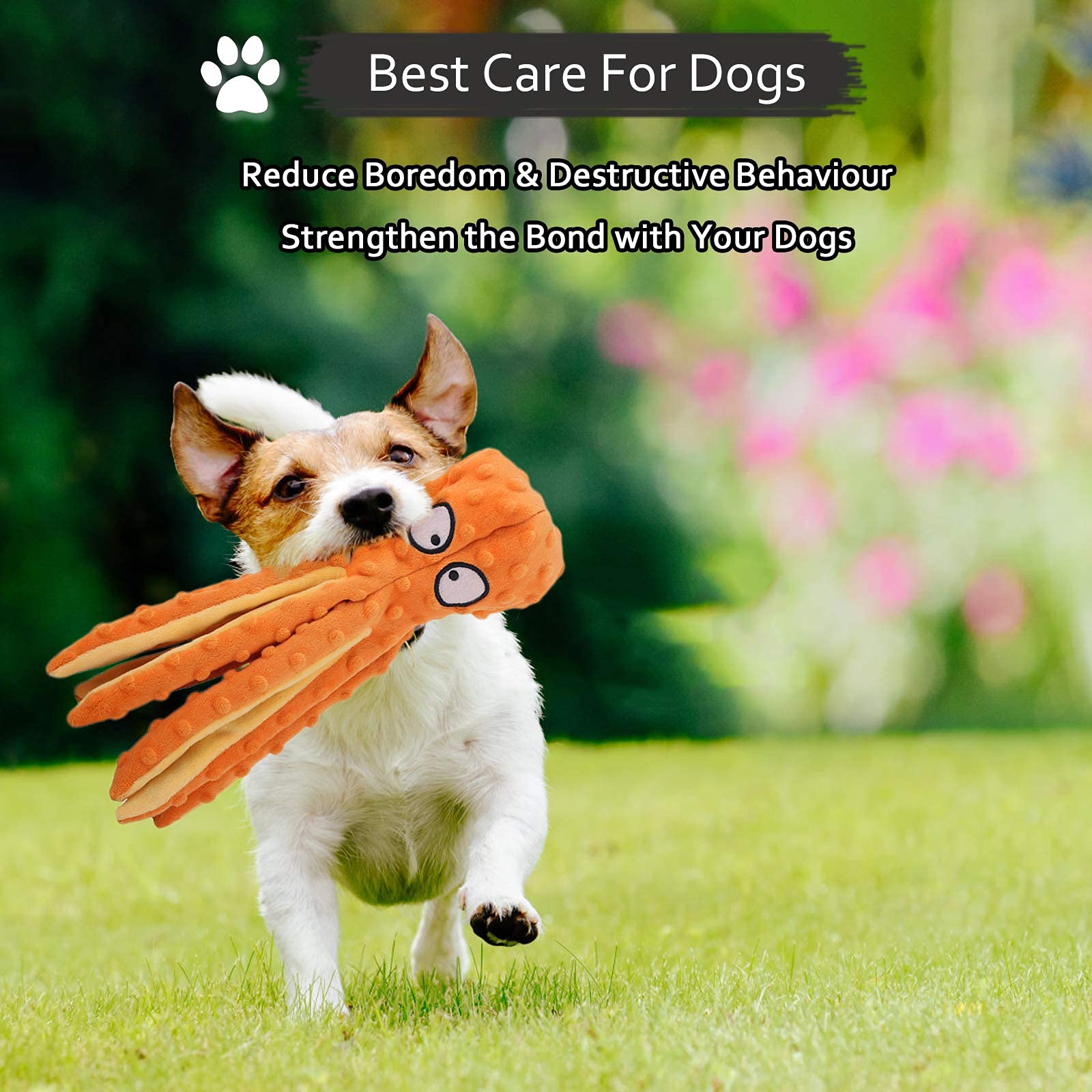 Qpets Dog Toys for Puppies featuring Built-in Squeaker and Crinkle Paper | 12.6 in Plush Toy