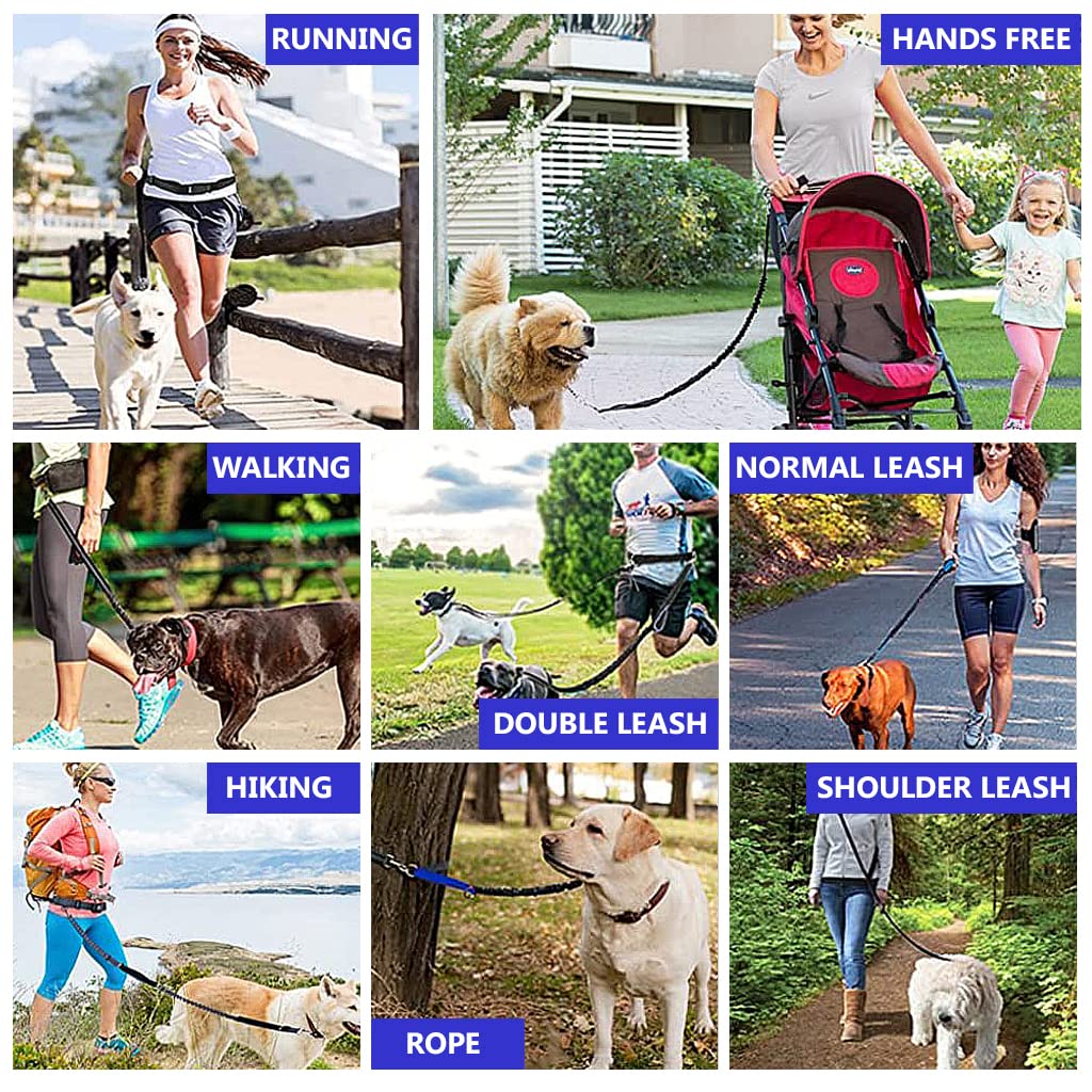 Qpets Dog Leash Waist Bag for Running and Walking with Dual Handles and Reflective Strips | 59 in Hands Free Set