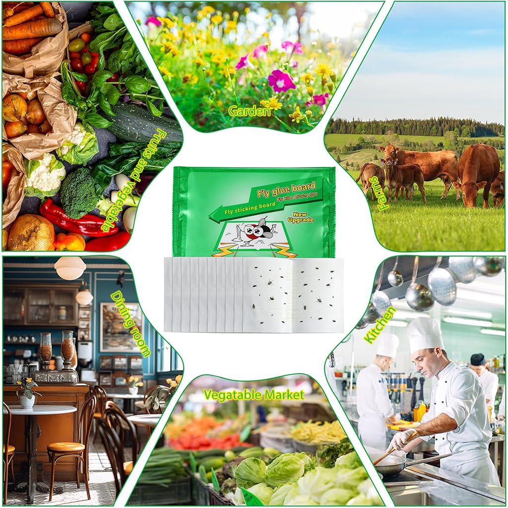 HASTHIP Adhesive Fly Trap for Kitchen and Garage with Large Surface Non-Toxic 10 Count | Odorless Insect Catcher